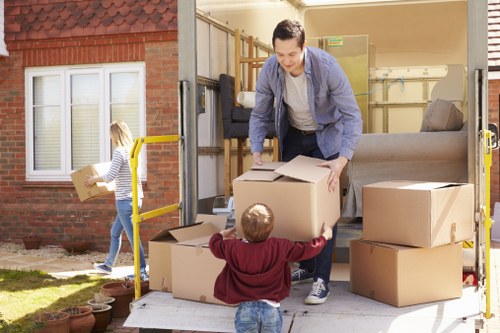 Packing materials and organized boxes