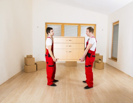Professional movers assisting with a move