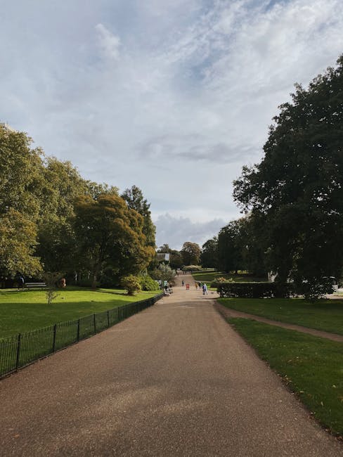 A wide, paved pathway within Morden Hall Park, lined with green grass and mature trees on both sides, leads towards a group of people and parked vehicles at the distance. The pathway is partly shaded