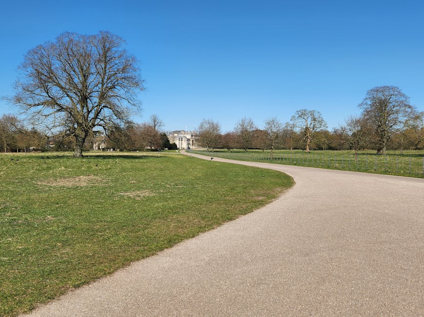 A wide, paved pathway within Morden Hall Park, lined with green grass and mature trees on both sides, leads towards a group of people and parked vehicles at the distance. The pathway is partly shaded